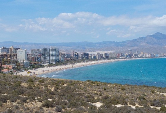 New Build - Apartment / flat - San Juan Alicante - Fran espinos